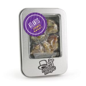 Mush Magic Atlantis Magic Truffles