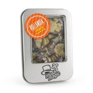 Mush Magic Hollandia Magic Truffles