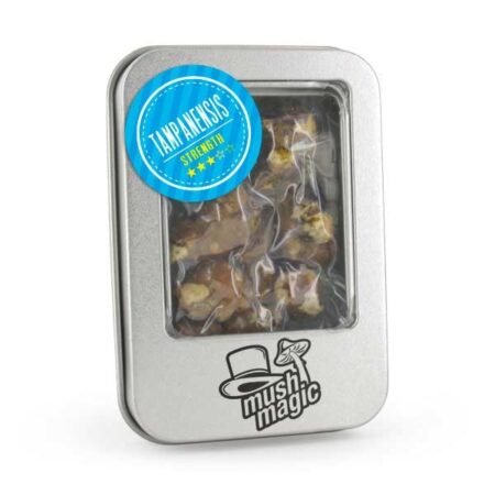 Mush Magic Tampanensis Magic Truffles