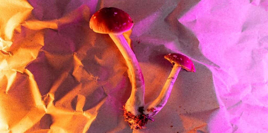 Psychedelics revolutionize medicine with hallucinogenic therapeutic background, highlighting microdosing truffles for brain health and neuroplasticity.